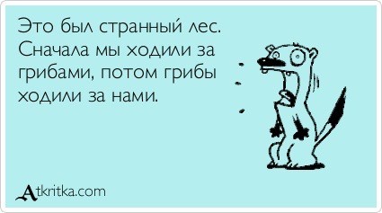 Вдруг поможет в лесу