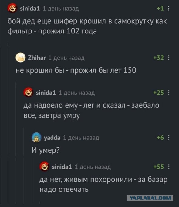 Бредзона 09.09.2020