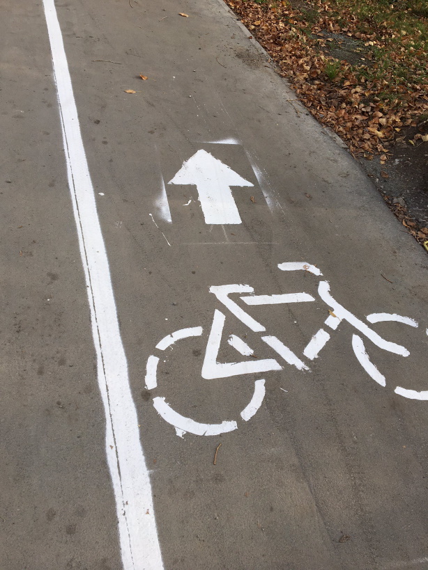 Хотели велодорожку? Получите. Новосибирск