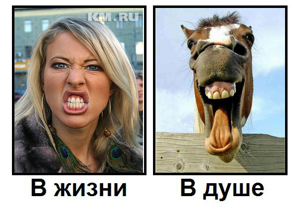Кто есть кто?