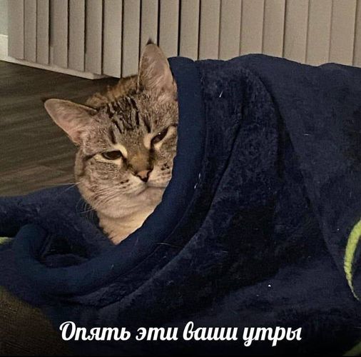 Мы здесь не для этого