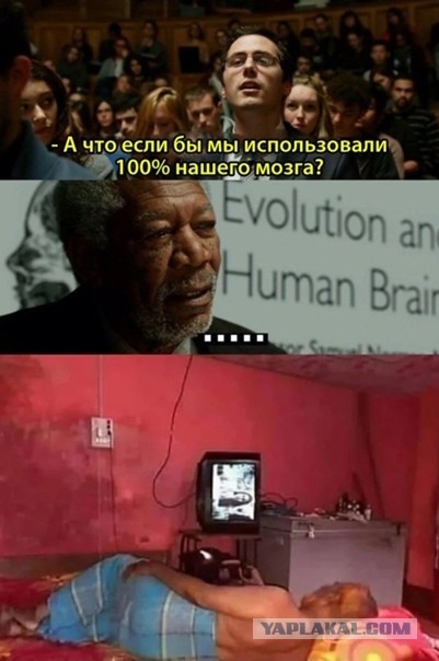 30 веселых картинок 20.07.2021