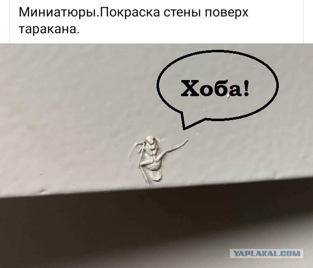 Бредзона 10.09.21