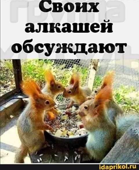 Прикольные и просто красивые картинки