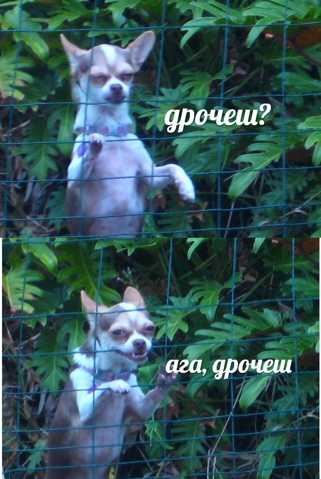 Чтоб не грустилось!