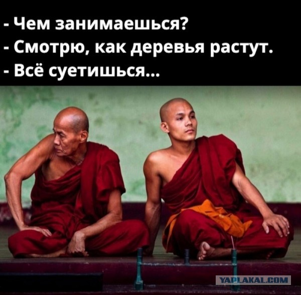 Просто картинки 24.03.2022