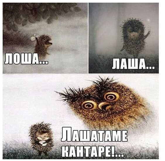 Шутки в картинках