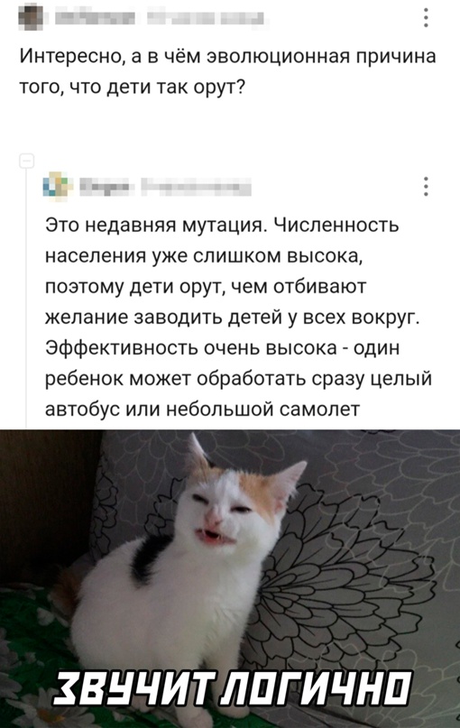 Весёлый полтишок 28.07.22