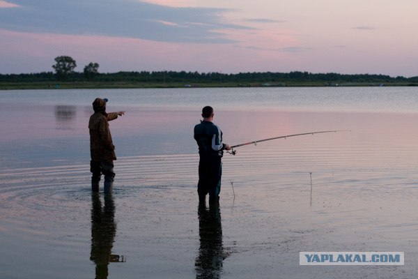 Утро на рыбалке.