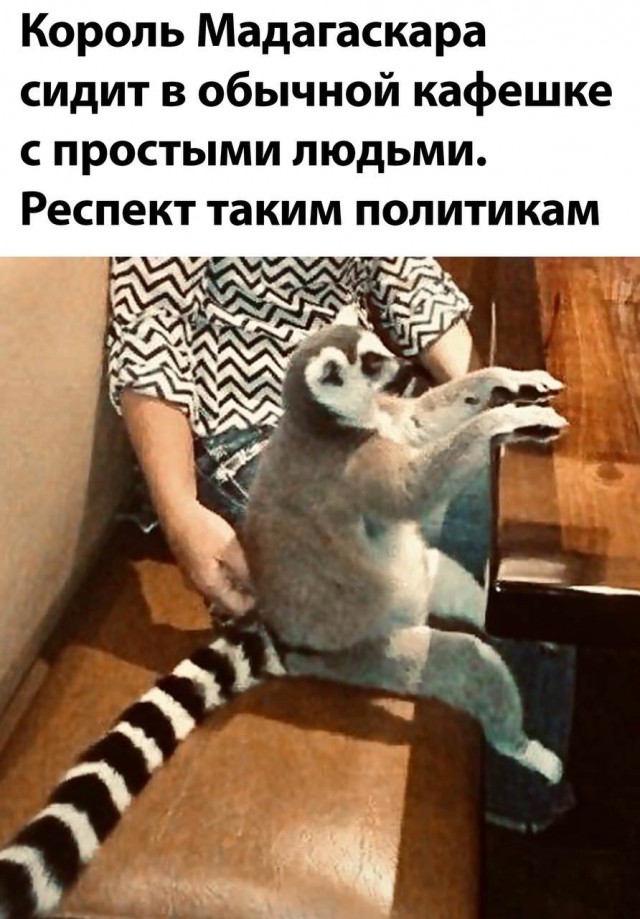 Немного картинок."Колбасный ветер". Август