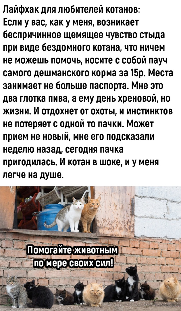 Так себе картинки 22.11.22