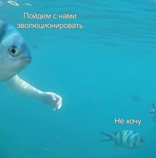 Так себе картинки 25.12.22