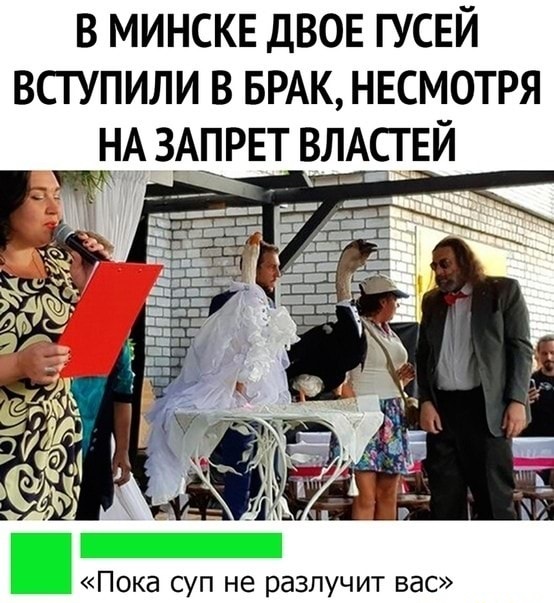 Так себе картинки 10.01.23