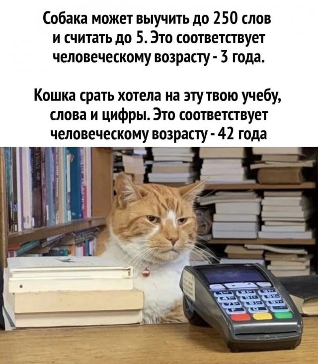 Картинки и мемы, всем хороших выходных