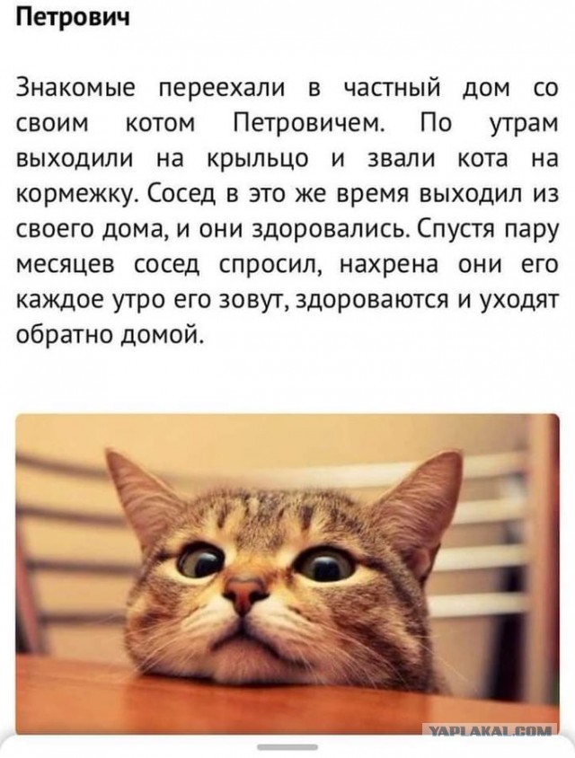 Немного картинок для настроения - 127