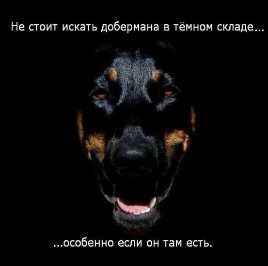 Картинки и мемы для настроения - 131