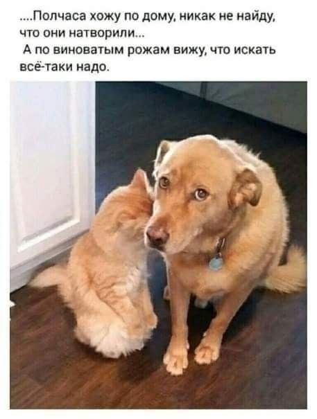 Немного картинок для настроения - 135