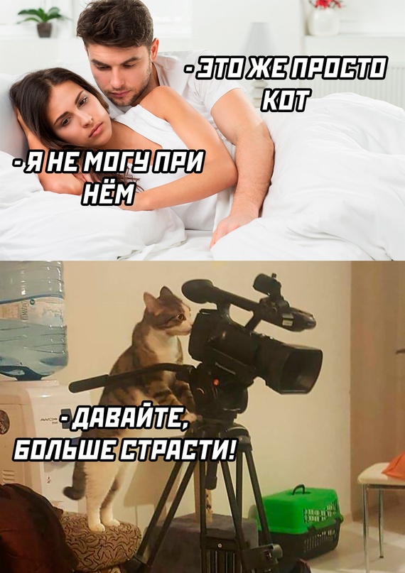 Картинки и мемы, всем хороших выходных