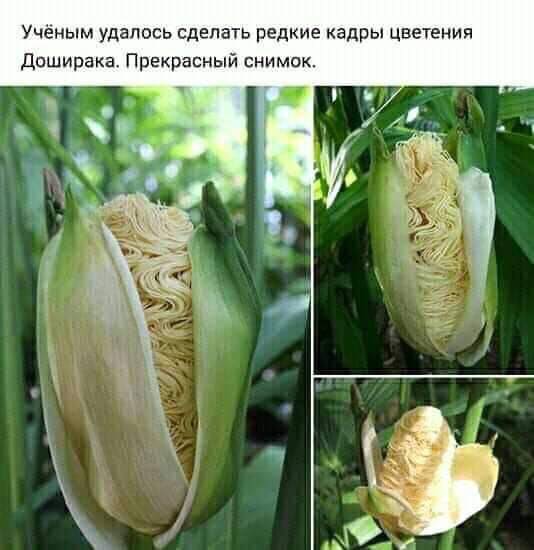Так себе картинки 02.03.23