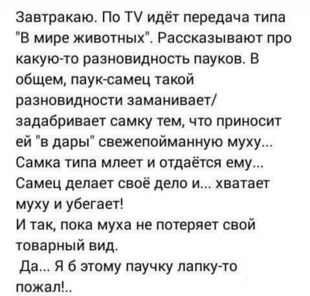 Всего понемногу 06.03