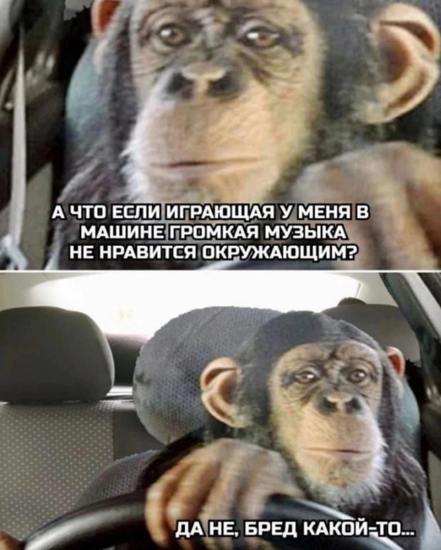 Меломаны на колесах