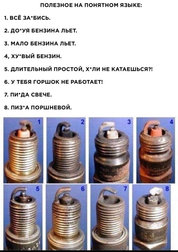 Весёлый полтишок 16.07.23