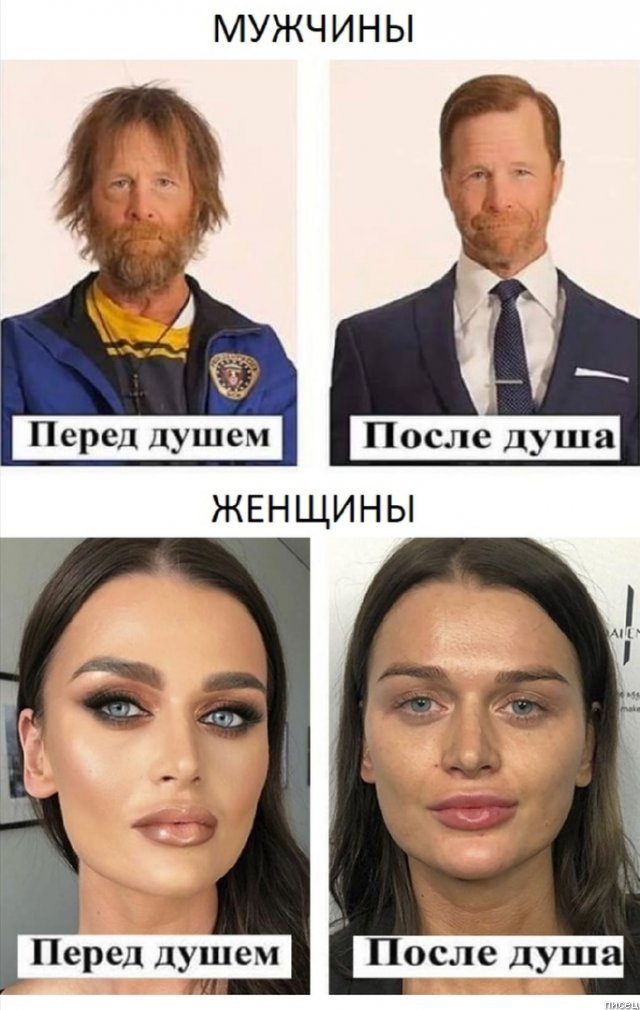 Фуяк, фуяк, вот и вышел хомяк