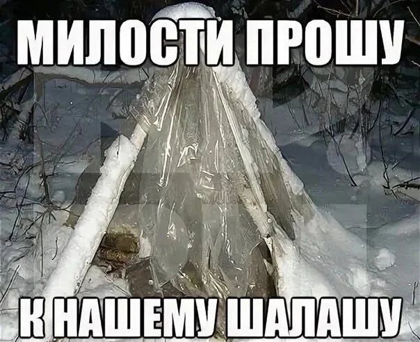 Приколы с налетом деградации