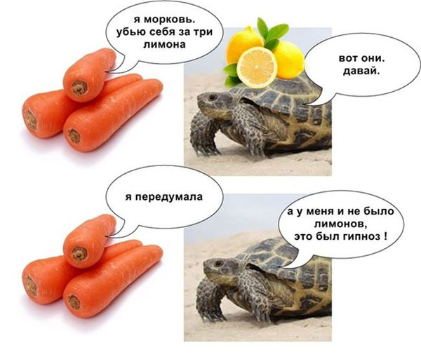 Похмельные боянчики