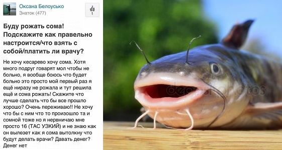 Обстановка на форуме молодых мамочек мотивирует рожать сома!