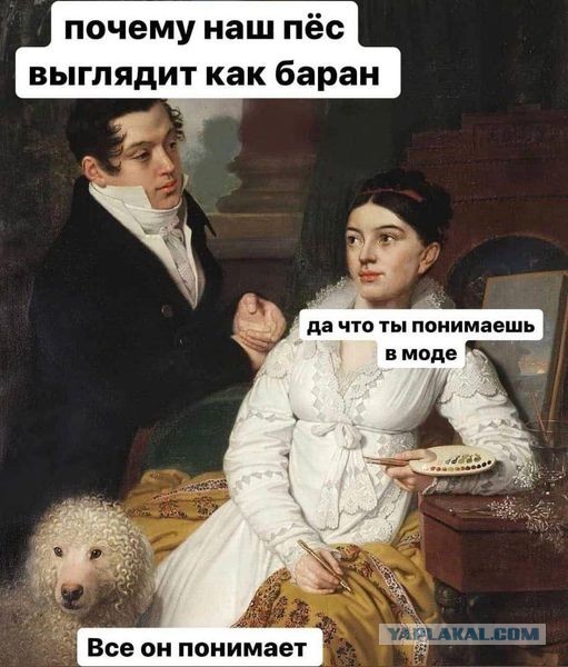 Картинки и буквы 24.06.2024