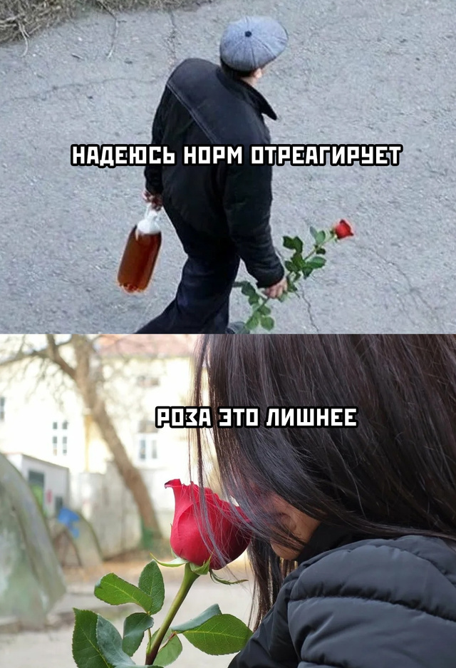 Весёлый полтишок 26.07.24