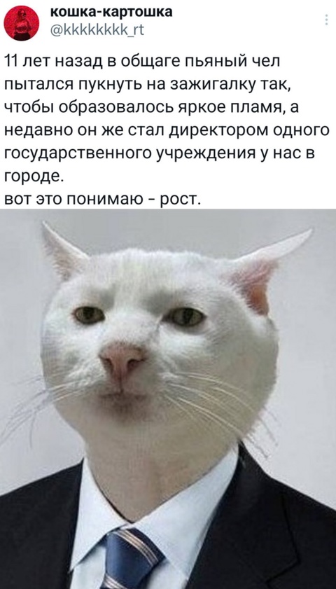 Весёлый полтишок 27.02.2025