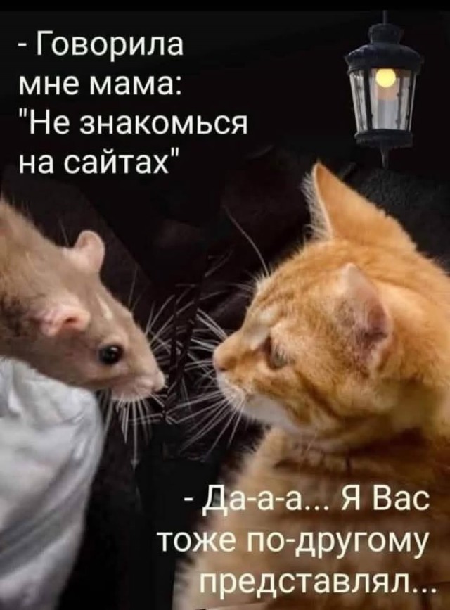 Нуштош 28.02.2025. Затерявшиеся мгновения (s3e8)