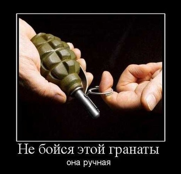 Массовое отравление собак в подмосковном Красногорске