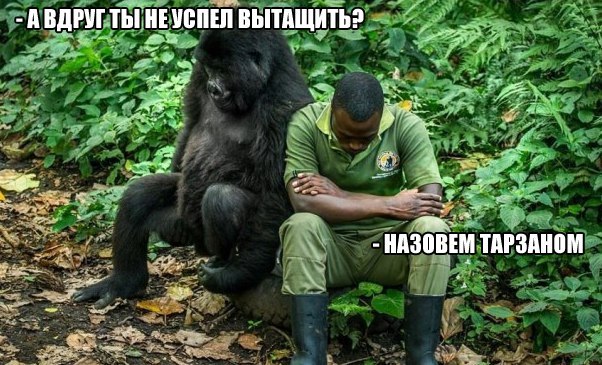 Завалялось тут случайно немного забавных картинок