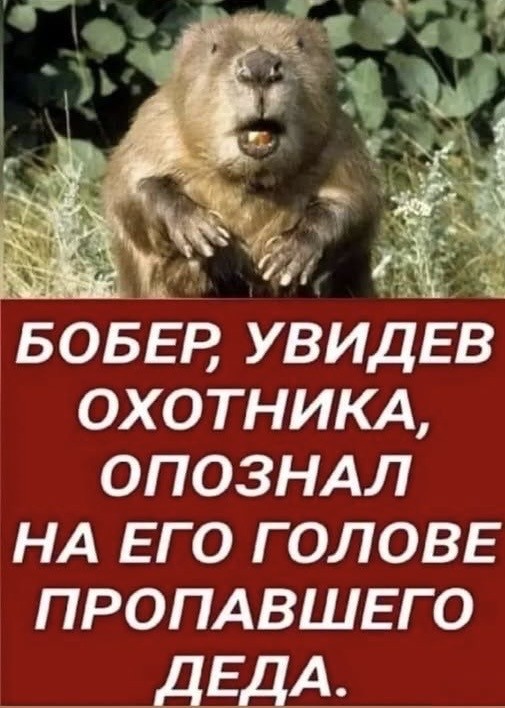 Веселое настроение в картинках (11.07.2025)