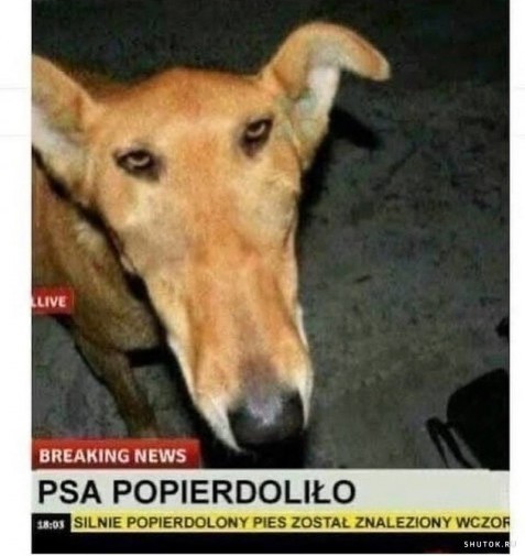 O kurwa