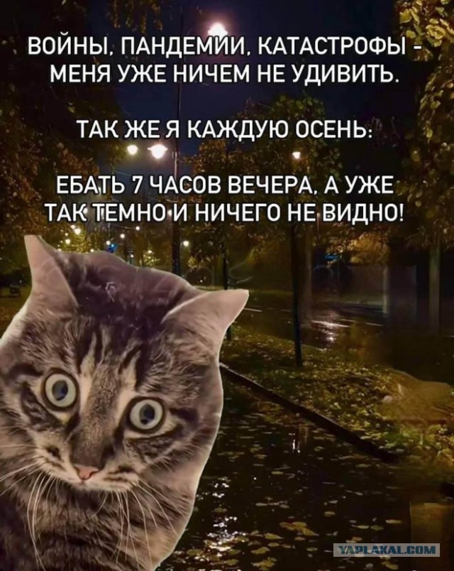 Картинки для деградации 68 (разной степени свежести)