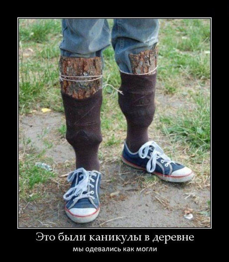 Заключительные баяны 2025