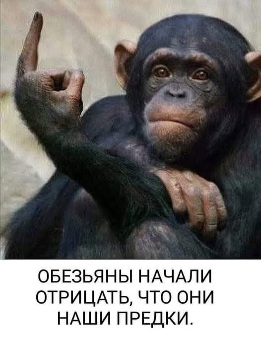 Понедельника картинки