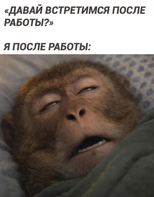 Картиночки, баянчики 22 апреля