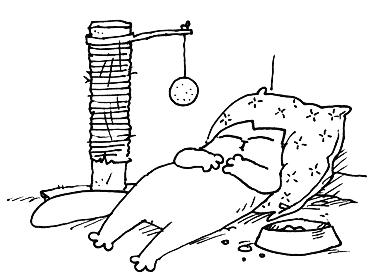 В гостях у кота Саймона