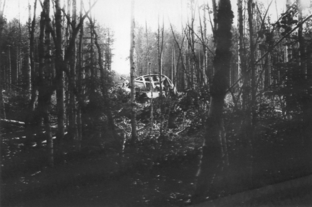 Сегодня мне 28