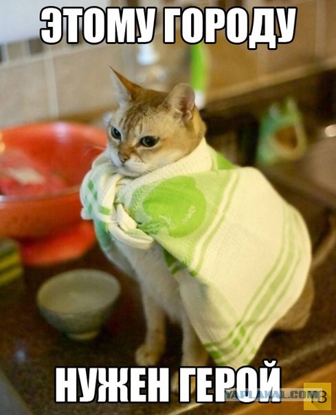 Подборка демотиваторов