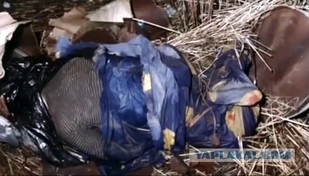 Как убивают красивые женщины.