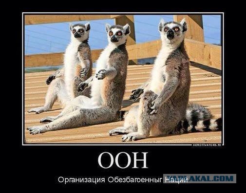 Давно демотиваторов не было