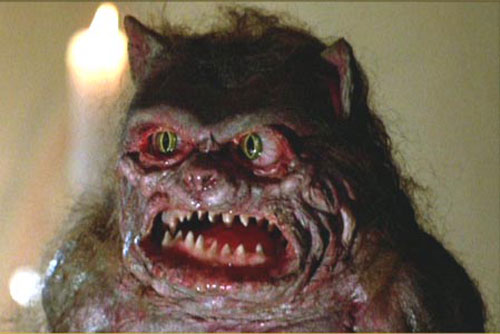 Маккейн заговорил об использовании Киевом