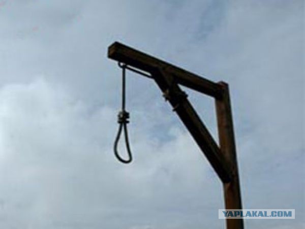 Привет Яйценюх