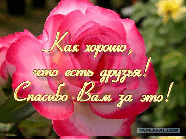 Челябинск, нужна помощь